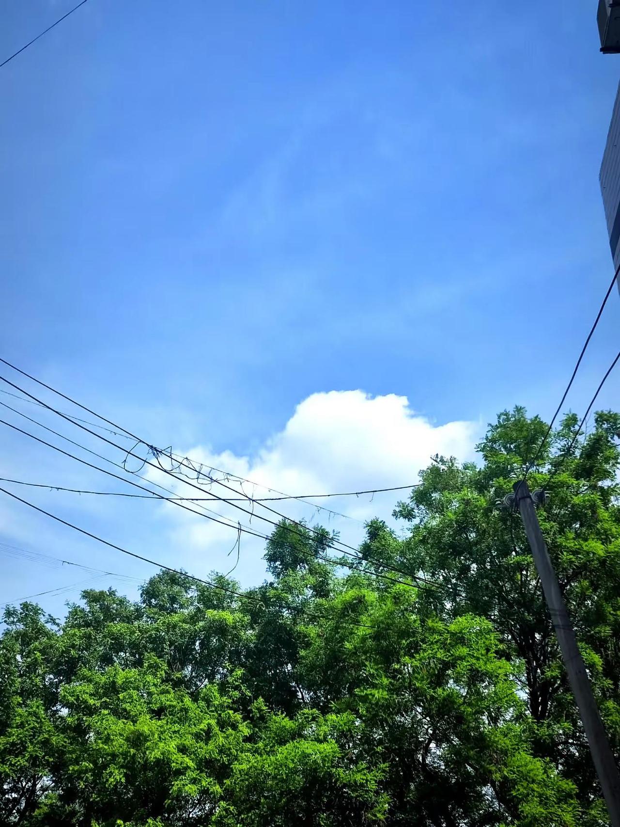 西安又热起来了，雨过天晴之后样子。风很轻树很绿 乡村夏日风景 夏季乡村美景 在村