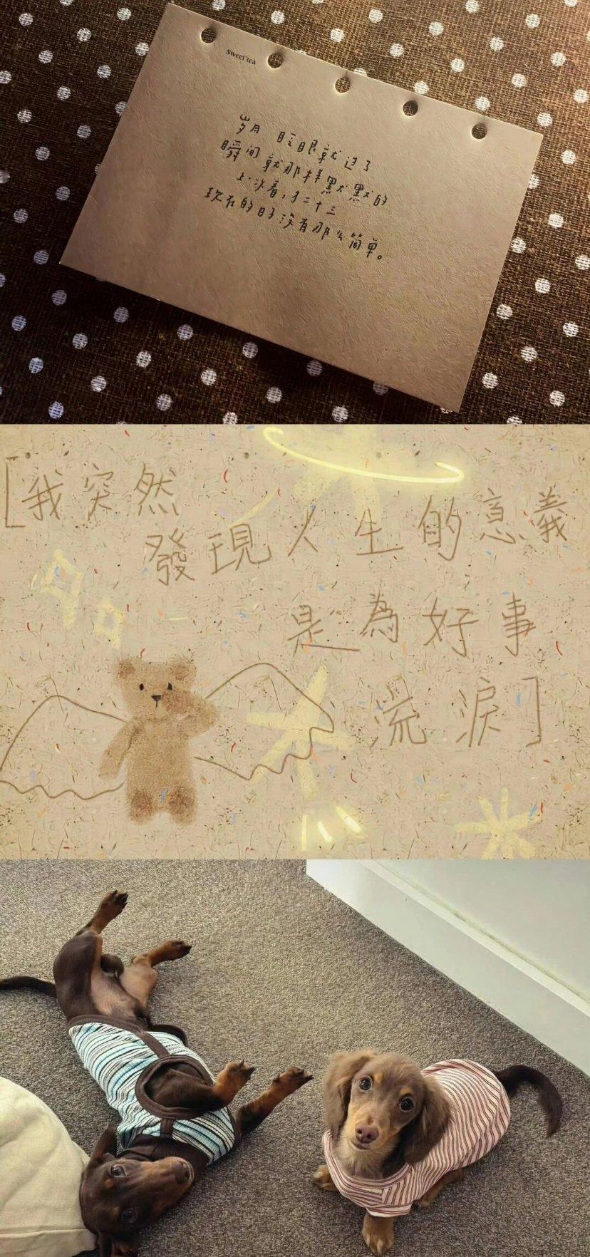 𝗦𝗵𝗮𝗿𝗲★「 秋系壁纸分享｜三拼壁纸」☆ 