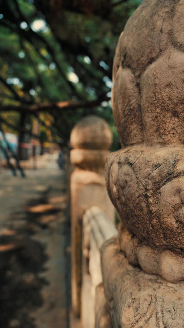 今天是公元2026年4月16日,星期四,农历二月廿九.
丙午年 壬辰月 庚申日;