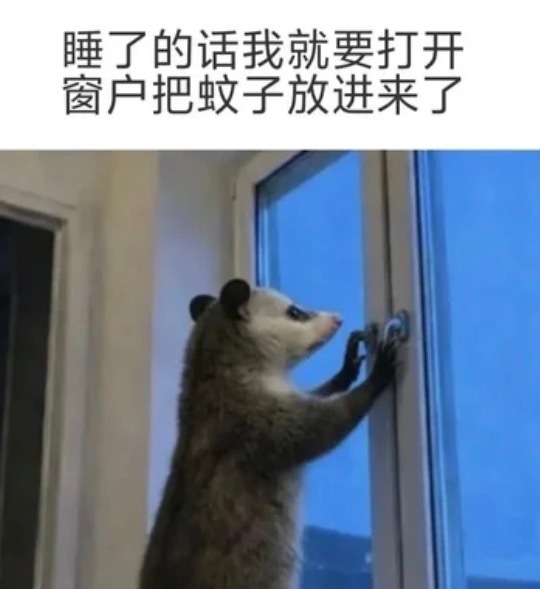 哼毛你们睡前没有做【神颜】投票➕xcpt捞人➕红稿加热➕寻艺➕百度送花➕订好闹钟