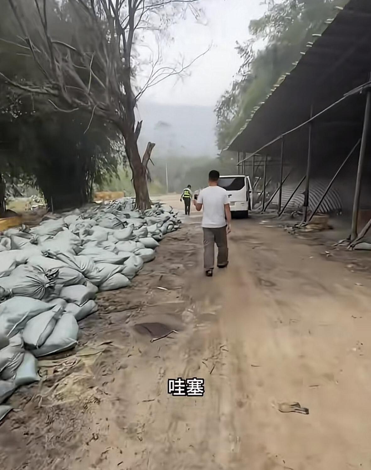 广东清远英德交界处，
用硫磺熏竹笋的小作坊，熏出来的烟雾把隔壁的几座山都变成了一