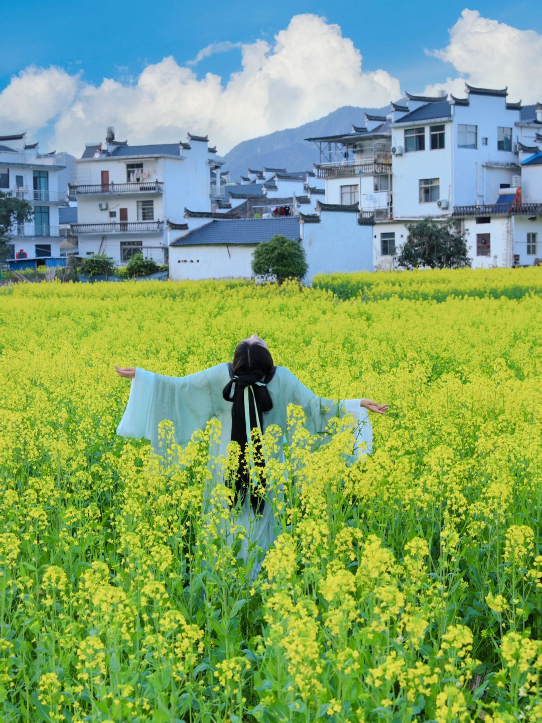 油菜花拍照🌼我的生命是一万次的春和景明