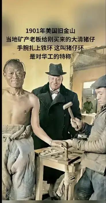 这是1901年美国旧金山当地矿产老板给刚买来的大清猪仔手腕扎上铁环，这叫猪仔环。