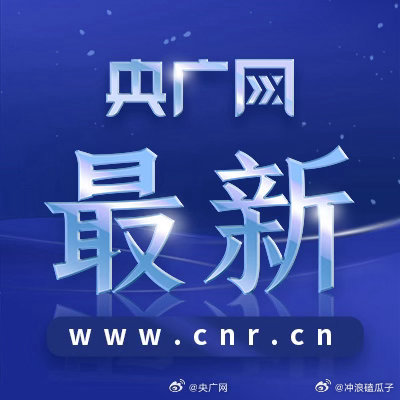 王文灵被查这年头一查一个准……