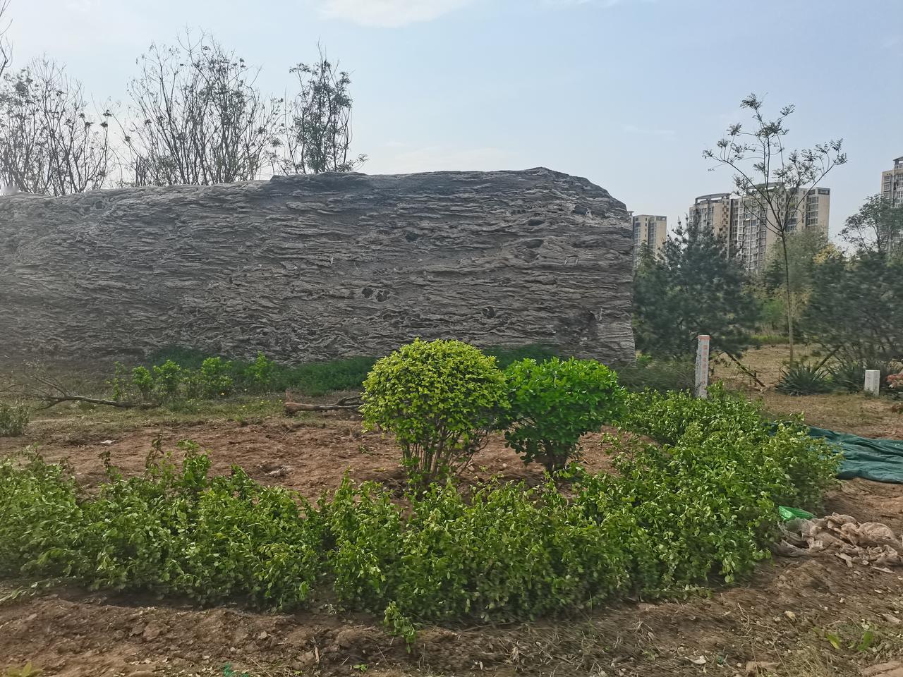 邢台七里河风景区
新华桥旁
有一片园林
一直被围挡挡着不开放
近期终于拆除了围挡