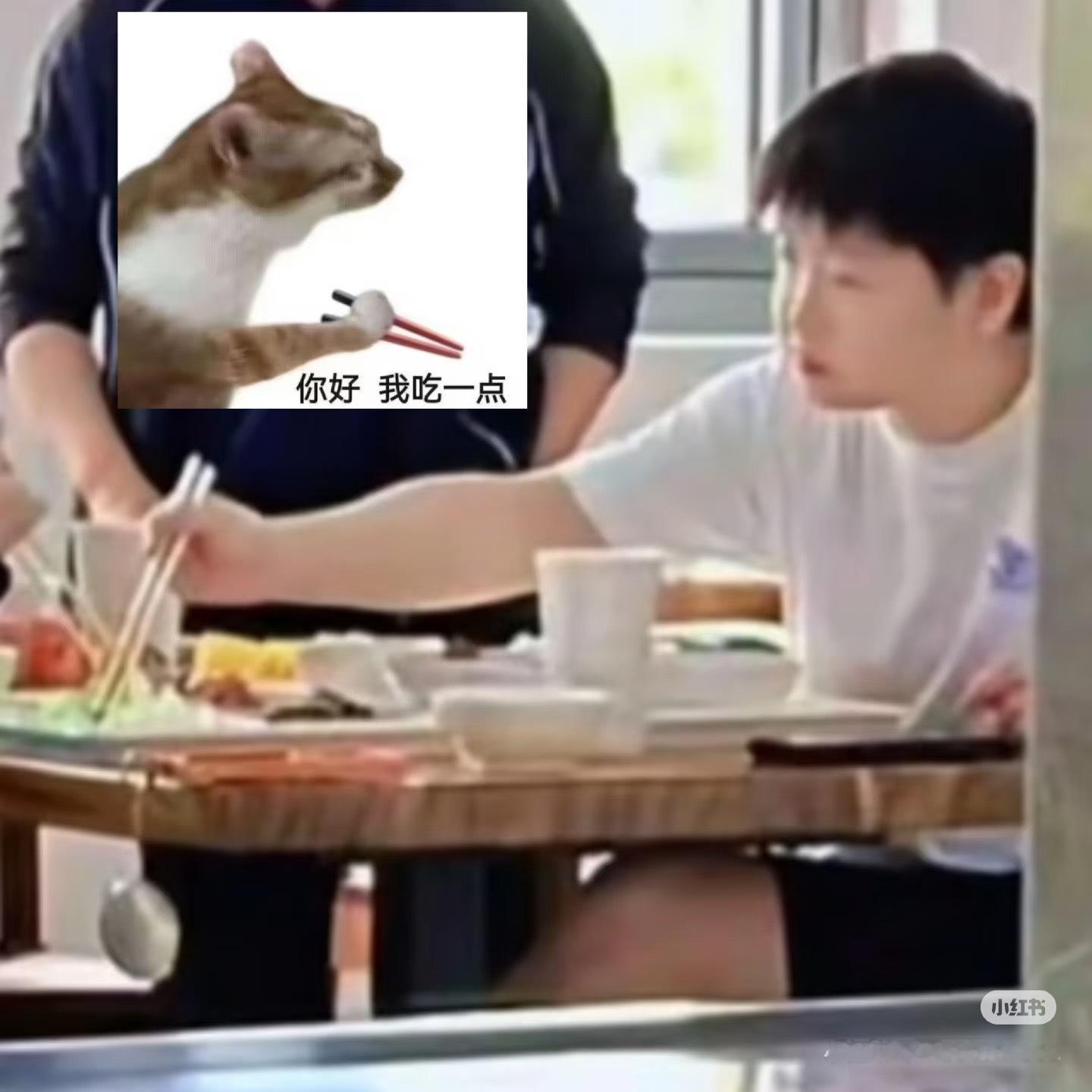 这么萌 ​​​