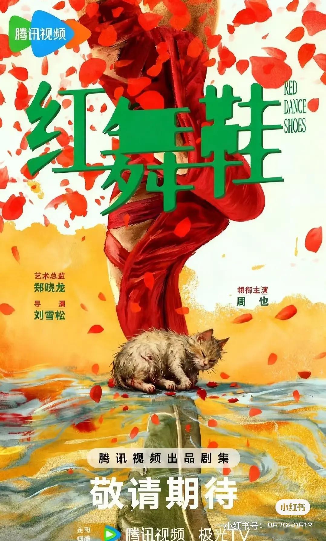 下沉市场刷到红舞鞋二创了 ​​​