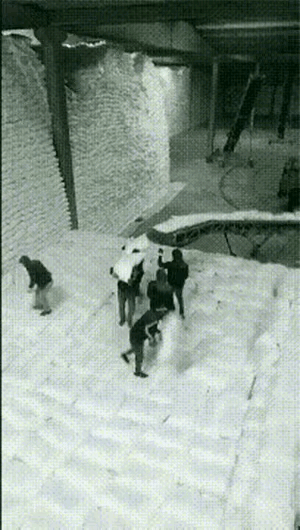 这才是流水线啊[泪奔]牛马们 哈哈