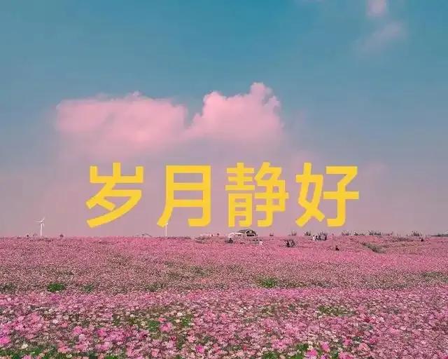 周末与几位好友小聚闲谈，陈君忽然感慨道：“风啊，我一直替你惋惜。倘若当年你选了另