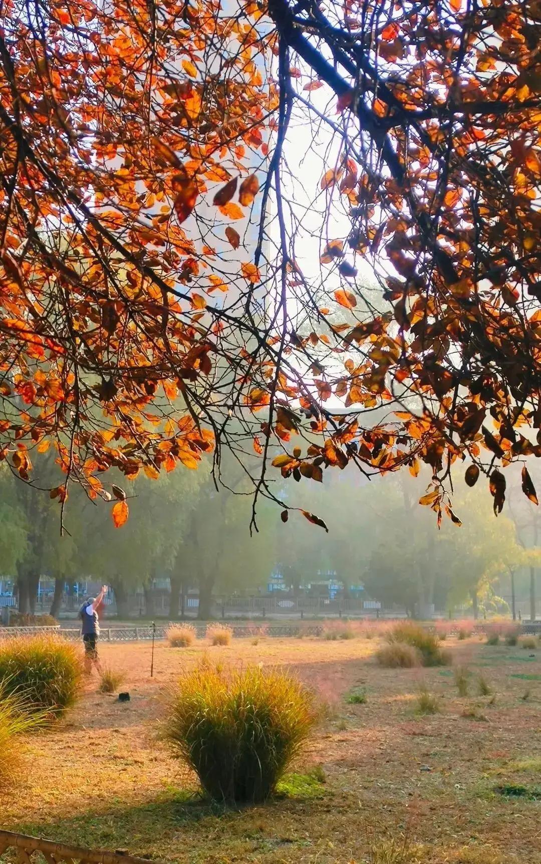 婆婆举着手机拍视频，说娶进门五年的儿媳既不上班也不生娃，天天往外跑，儿子却装看不
