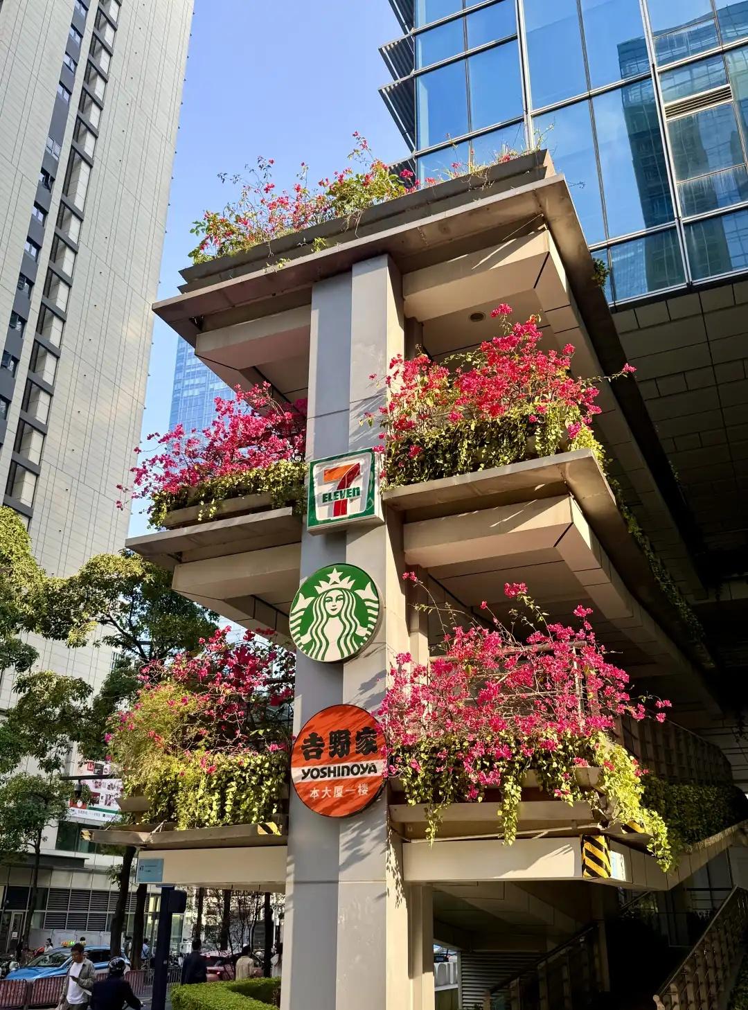 就算是牛马之城，深圳也是也是最漂亮的那个
城市中的小确幸 留在这座城市的理由 深