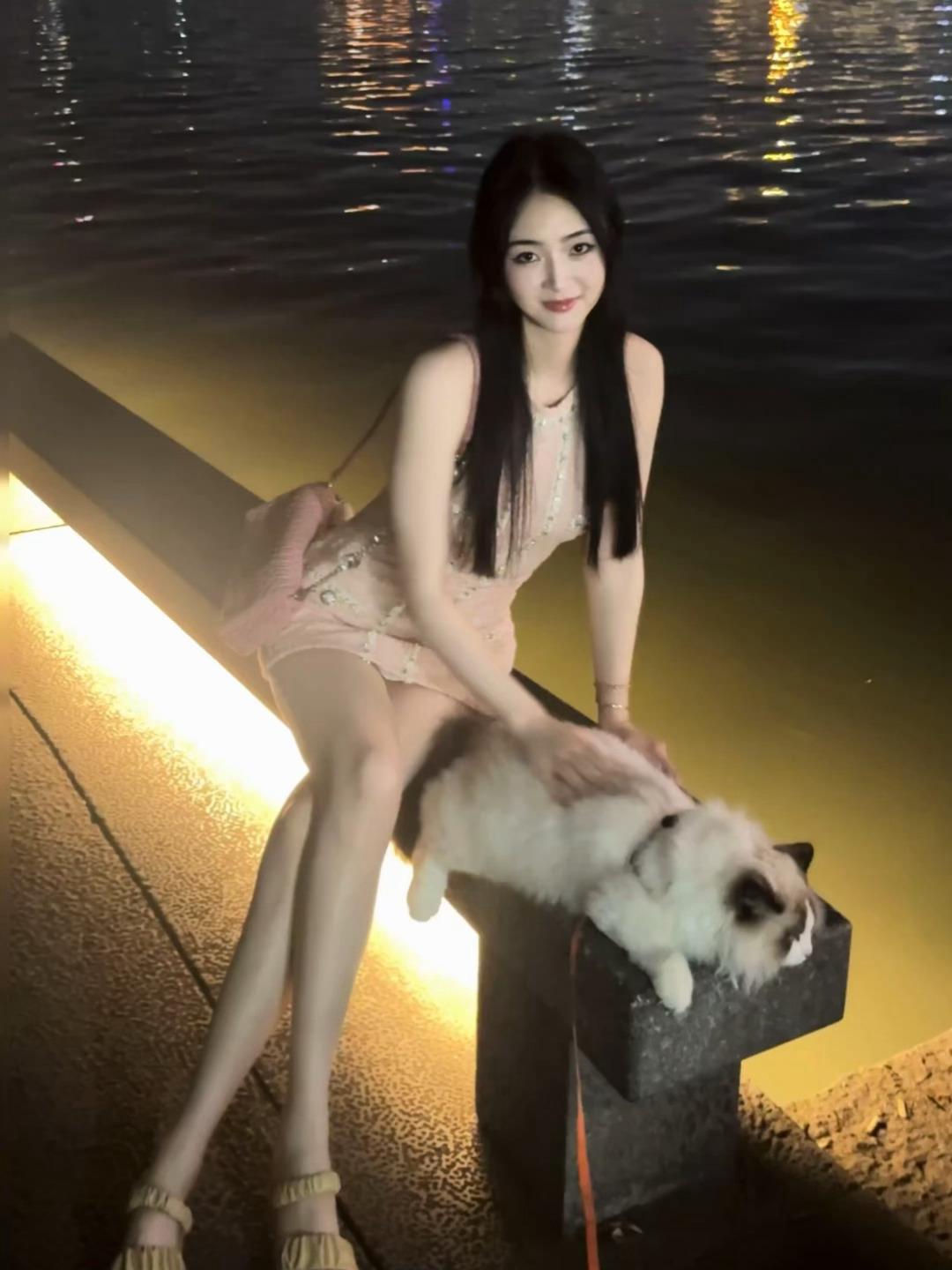 西湖边偶遇社牛猫猫 ​​​