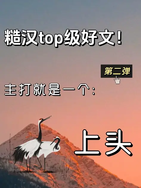文荒 小说 糙汉