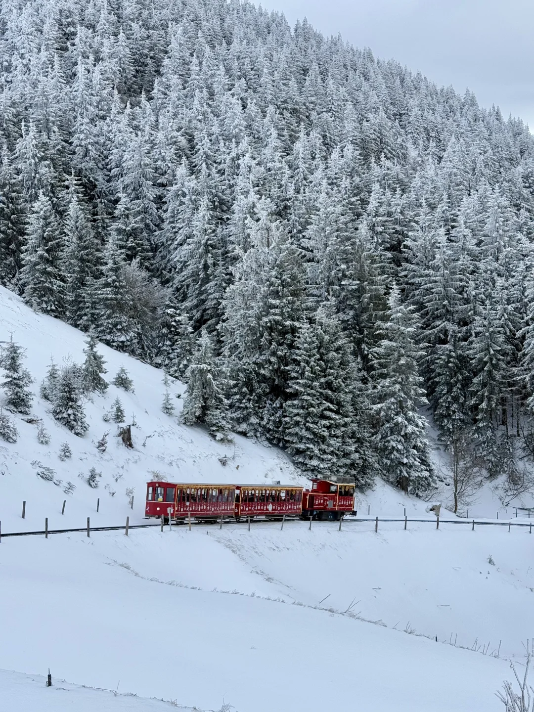 🇦🇹❄️🥨东北贵替｜在奥地利看雪吃酸菜血肠