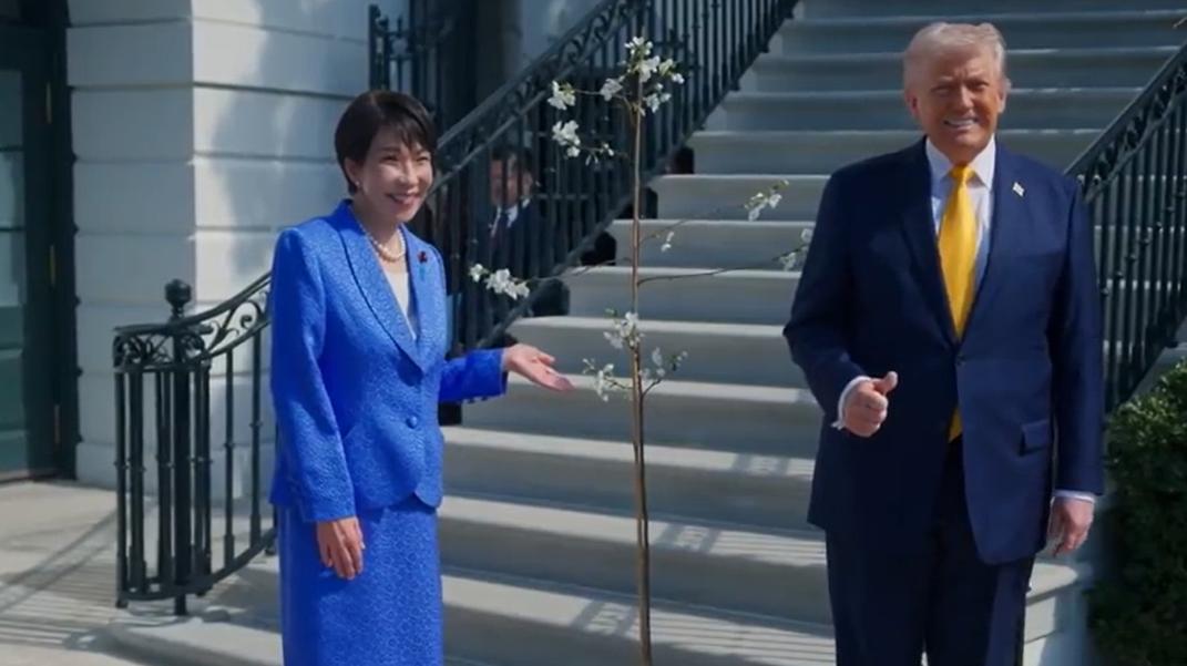 丢人丢到家了！自己没本事接话，反倒怪记者提问太尖锐🔥
高市早苗访美被特朗普当场