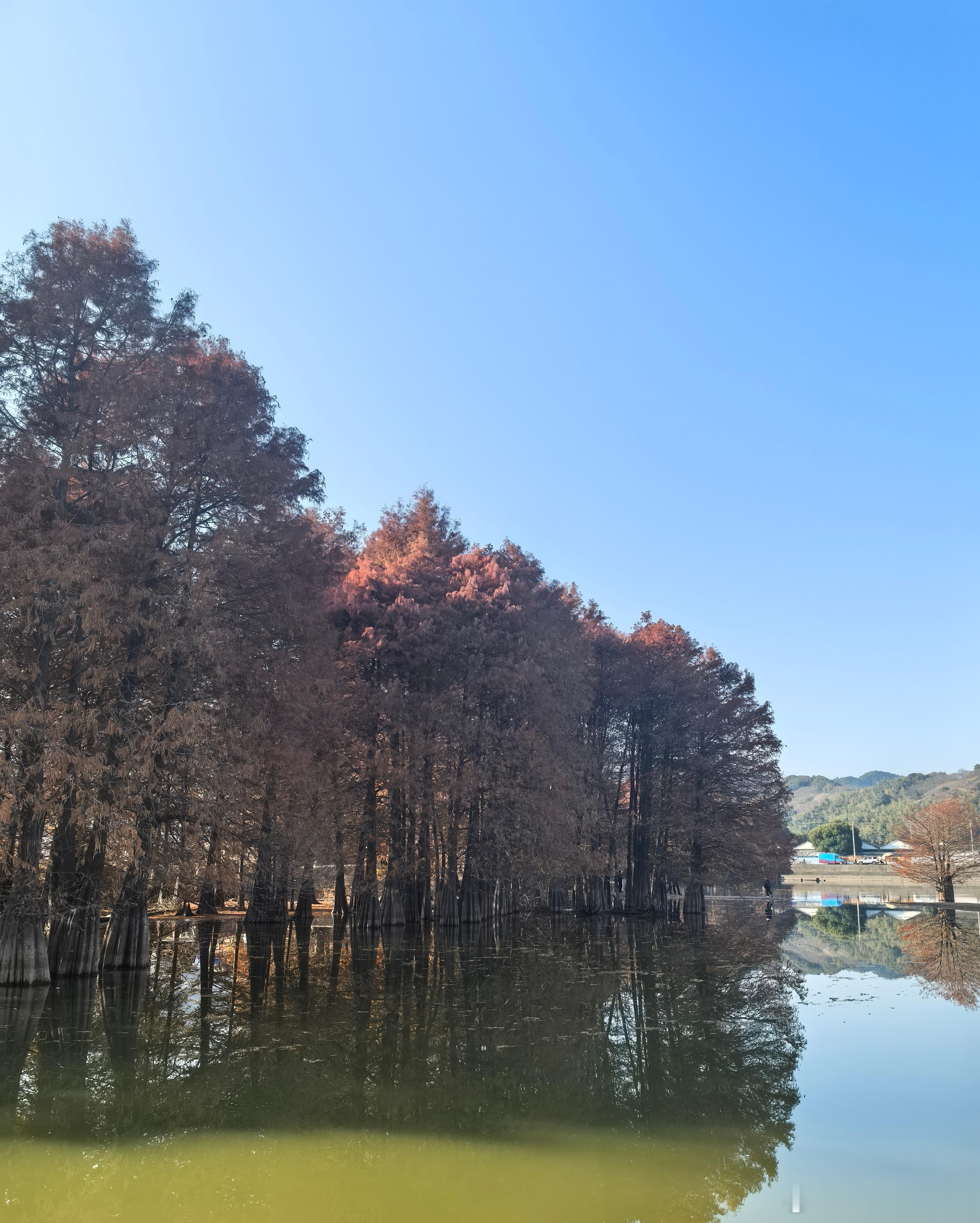 心里话       努力了不一定🈶收获，不努力那一定是一无所有。     