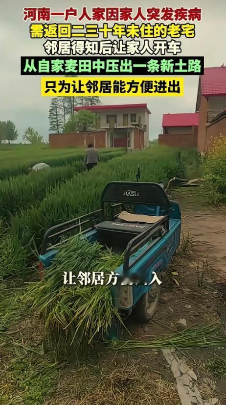 河南信阳二三十年没回村的邻居因病回乡休养，男子母亲竟让他开车压自家长势正好的麦田