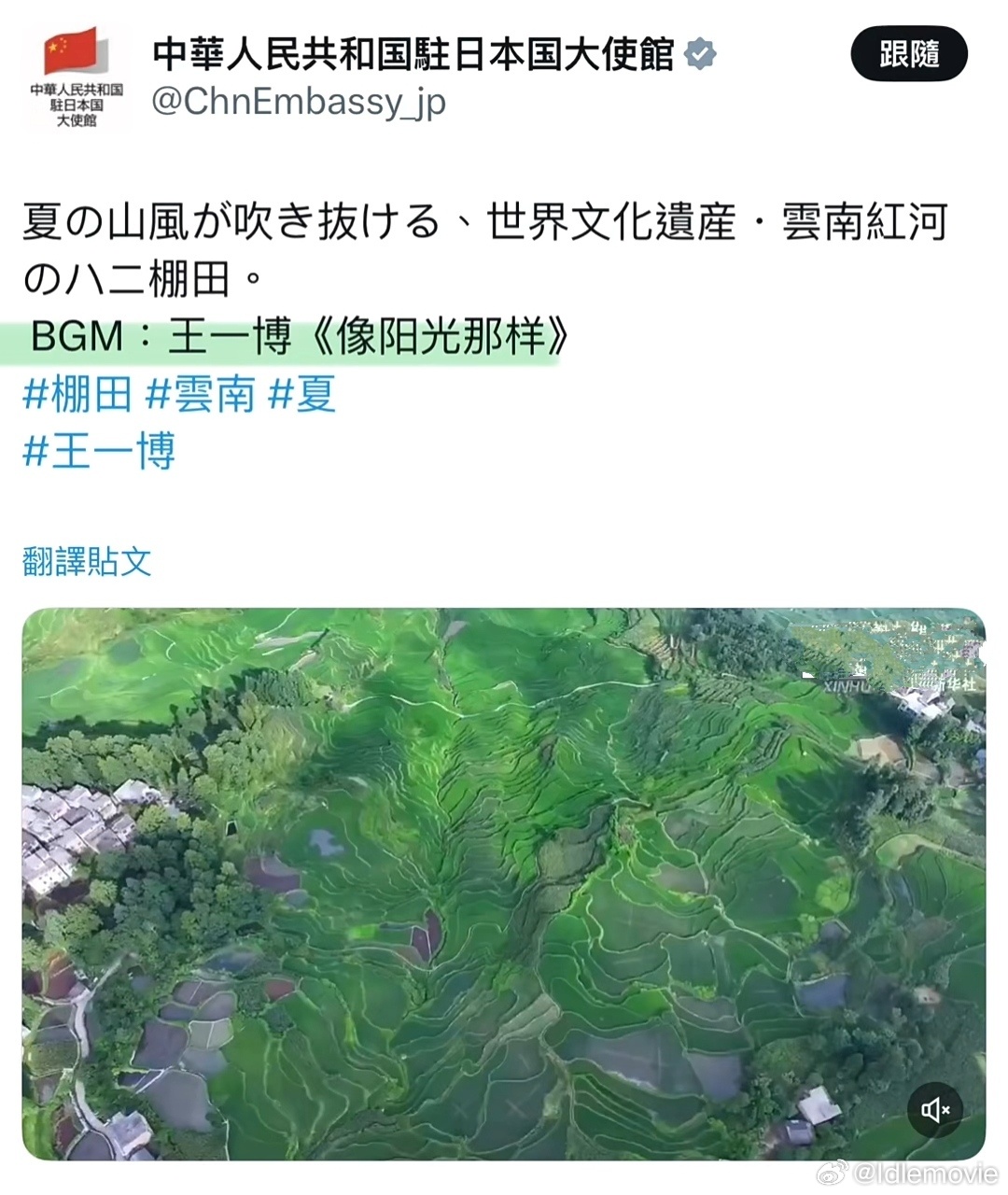 中国驻日大使馆又发了王一博的《像阳光那样》，外交名片，国家门面的又一次骄傲。电影