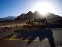 以书为盾以知为甲：读书方能筑牢人生前行的底气
 
近期“读书是人生退路与底气”的