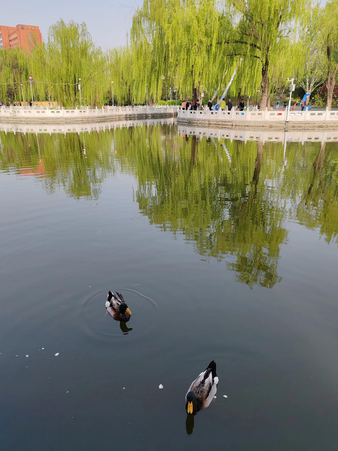 春日生活打卡季春日随手拍。