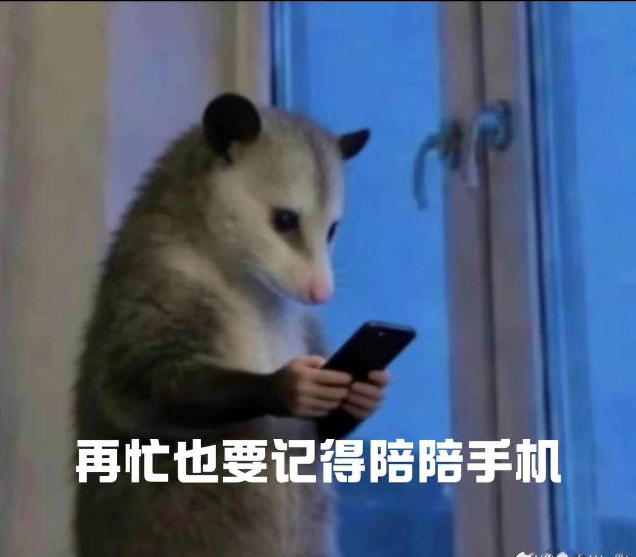 对苹果已经祛魅了
去年年底买了个国产
觉得也挺好用
现在手机涨价
新机不用个五六