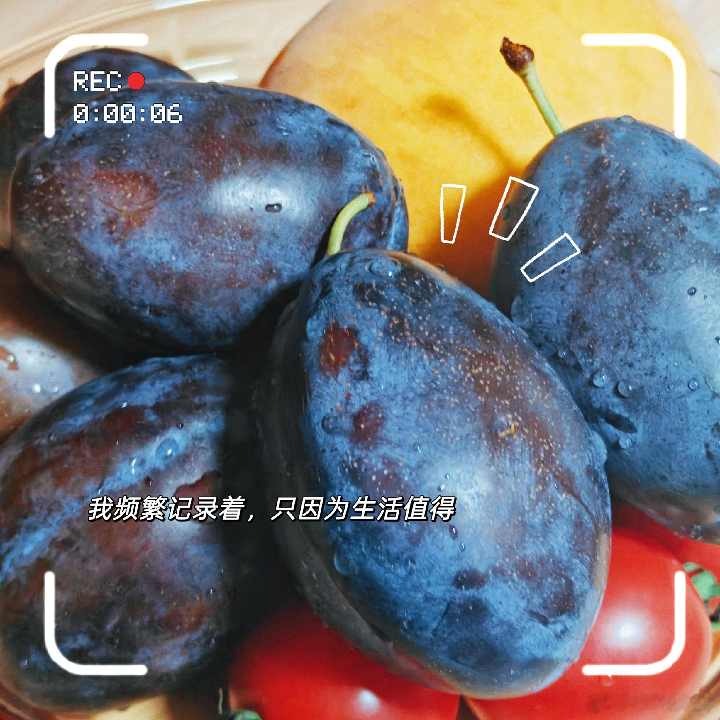 平凡的日子…有趣有盼，不负热爱热爱