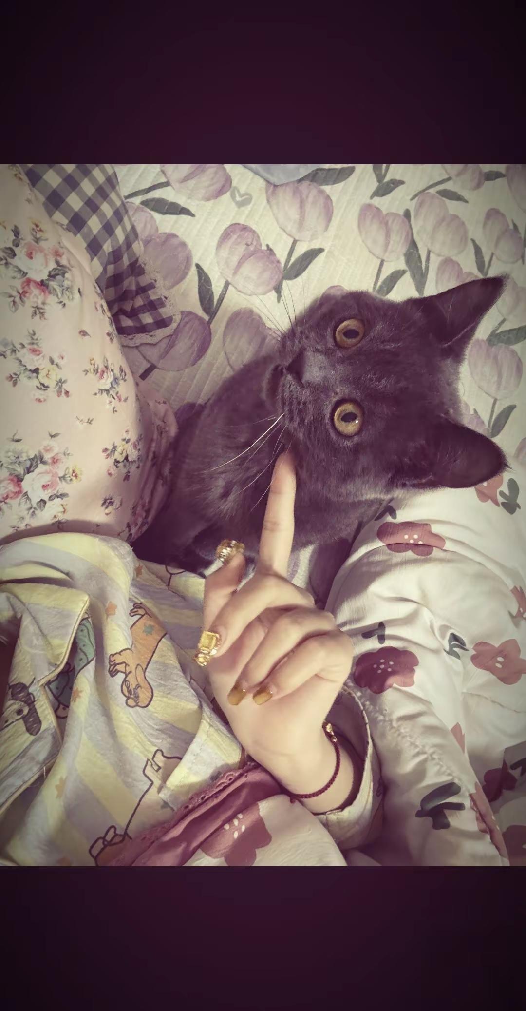 人不需要每天都过的幸福 你每天过的怡然自得 你很平静 你很舒服 不要恐惧 就是非