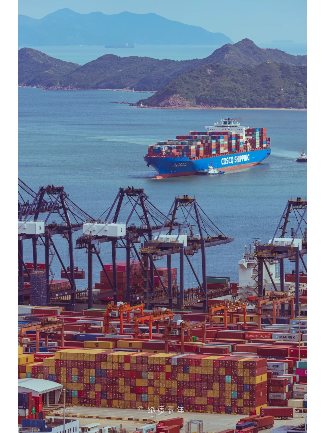 深圳盐田高级中学|感受不一样的盐田港🚢