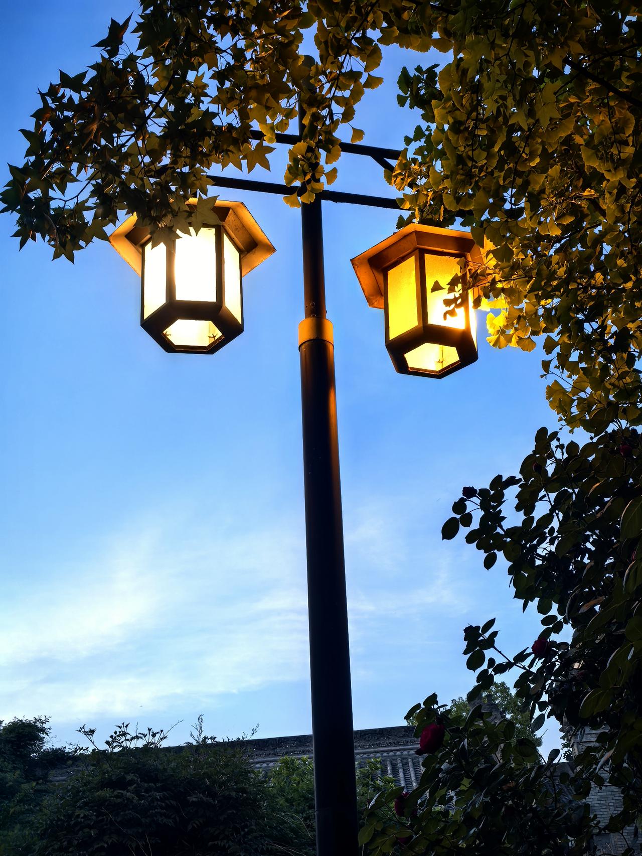 《船夜援琴》

—— 白居易

鸟栖鱼不动，月照夜江深。

身外都无事，舟中只有