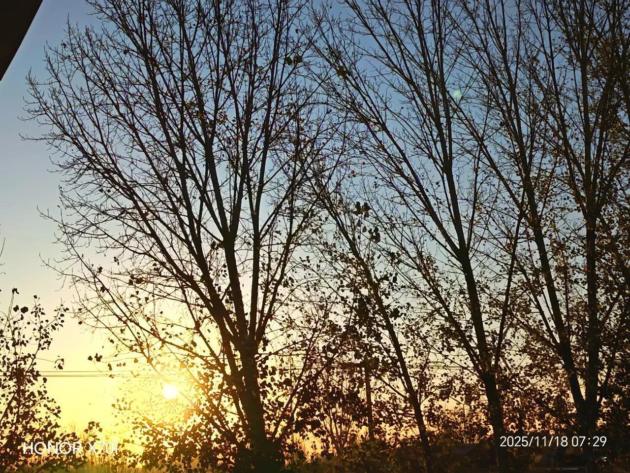 分享一张自然风景的照片抓住秋天的尾巴，迎接寒冷的冬季，秋天很美，冬天又是那么的沧