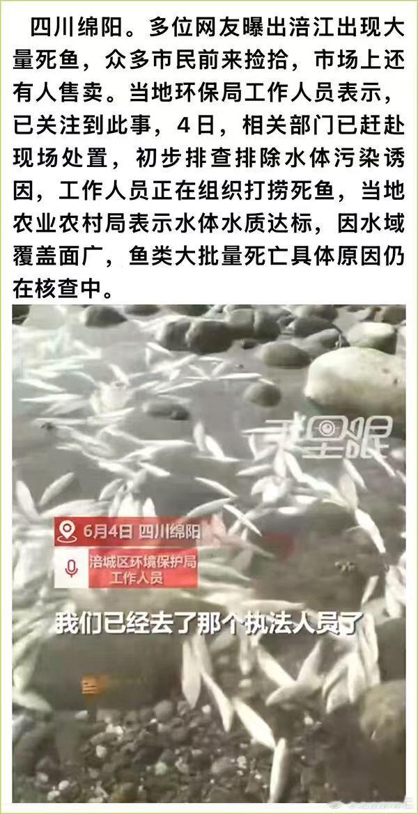 你说不是污染问题，但大批鱼类死亡这又如何解释？难不成这鱼儿也是生活重压寻了短见？