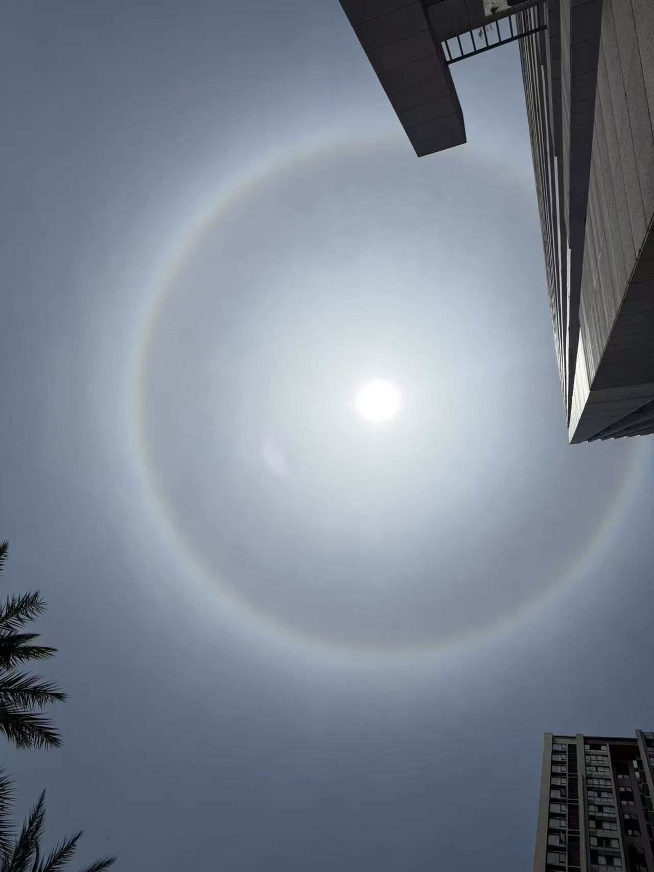 吉祥的光环绕着你～[太阳]快抬头看看今天成都的太阳，有彩色光晕哦，大家都拍到没？