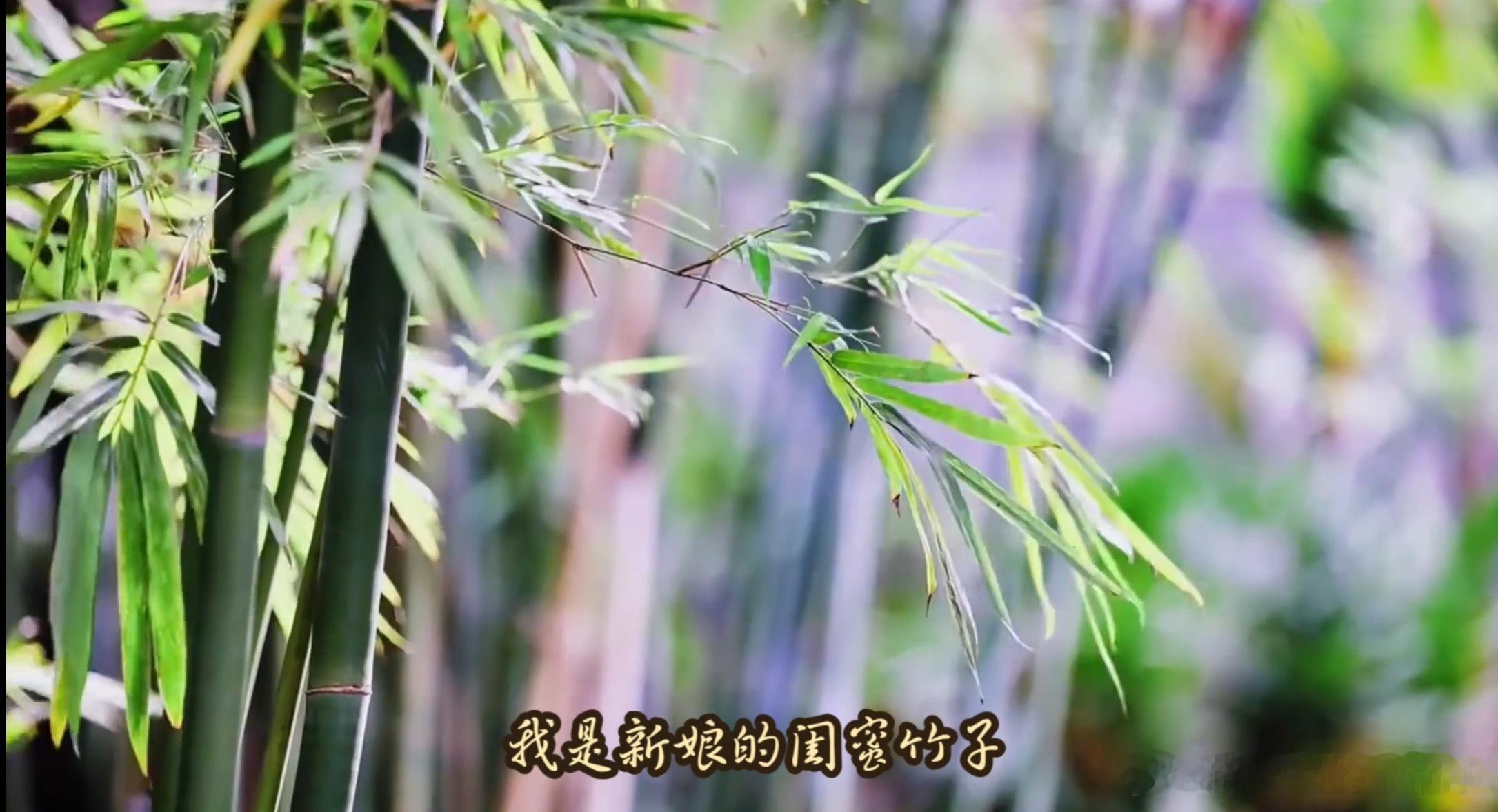 明天女神婚礼，开场是用我给他俩剪的视频于是我就这么强势出镜了