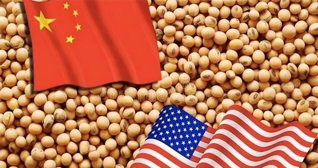 美论坛：为什么中国人根本不关注中美贸易战？网友：因为不害怕


美国网友的问题引