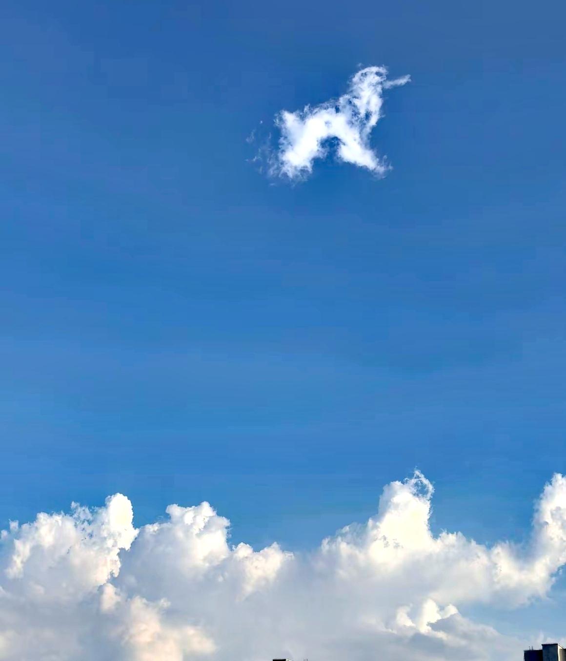 分享一张你相册的云朵照片随手拍～像什么动物？