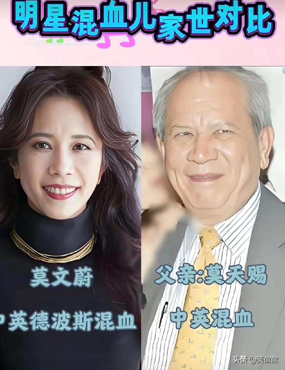 明星混血儿家世对比
你认识哪几位？