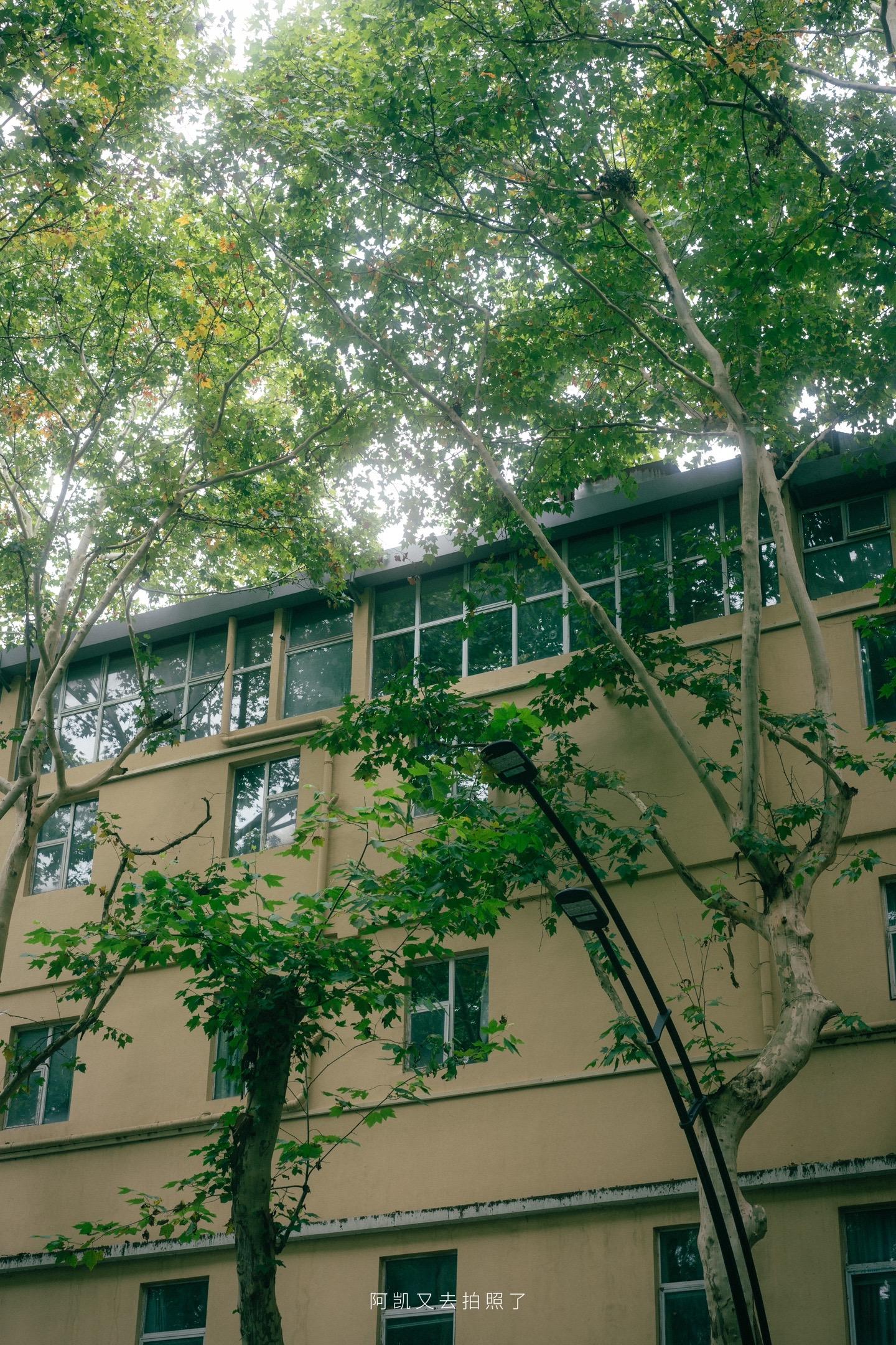 到底什么样的照片才是最动人心弦的。