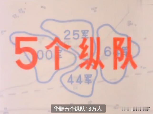 1981年淮海战役纪录片中，关于碾庄和双堆集投入的兵力，如图所示

碾庄是5个纵