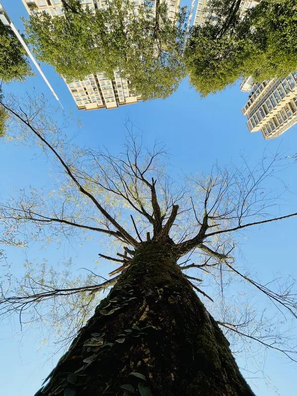 上当受骗的根本原因，一是信息差造成的判断偏差，二是人性弱点被利用。
就说信息差，