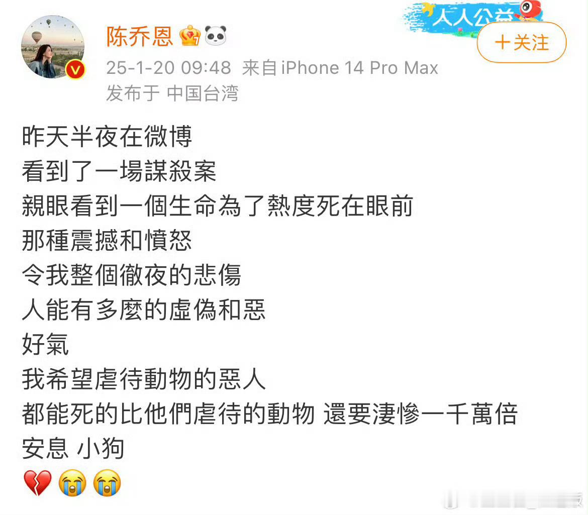 我只知道毛孩子永远都是毛孩子 尽管他们有些的性格可能不被人们所待见 但是最起码他
