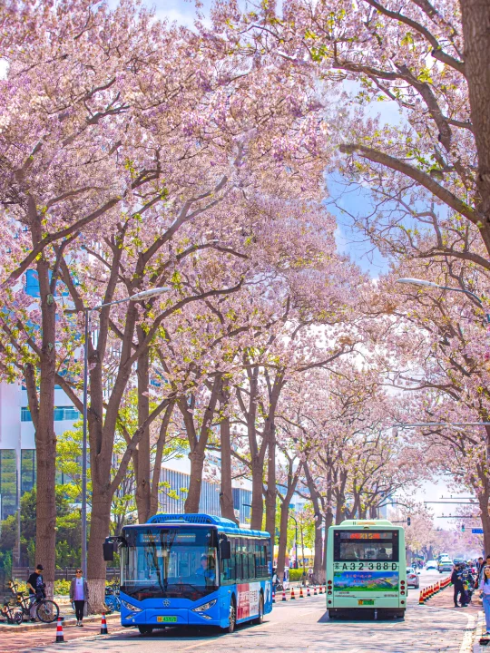 这竟然是北京！魔幻与浪漫并存的春天