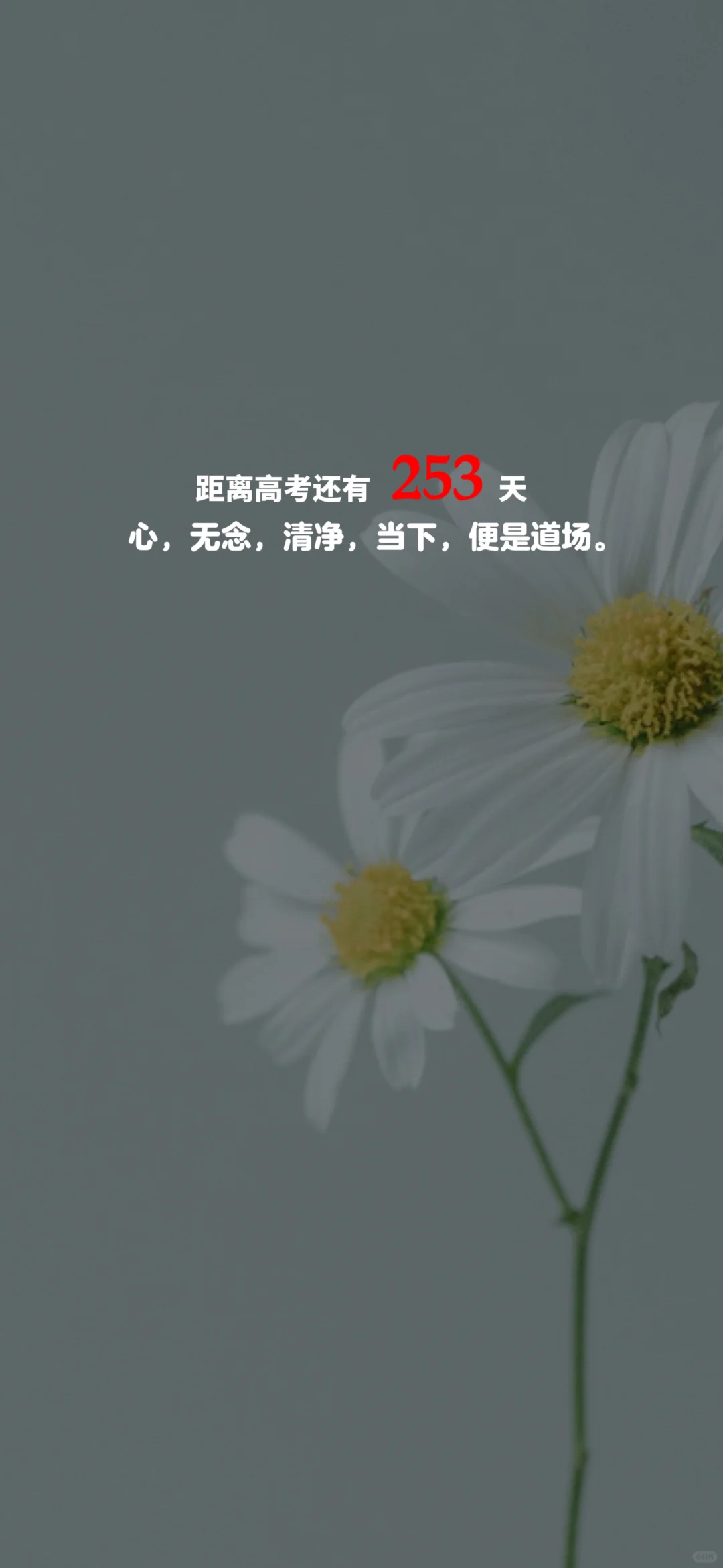 2025高考倒计时，每日更新。