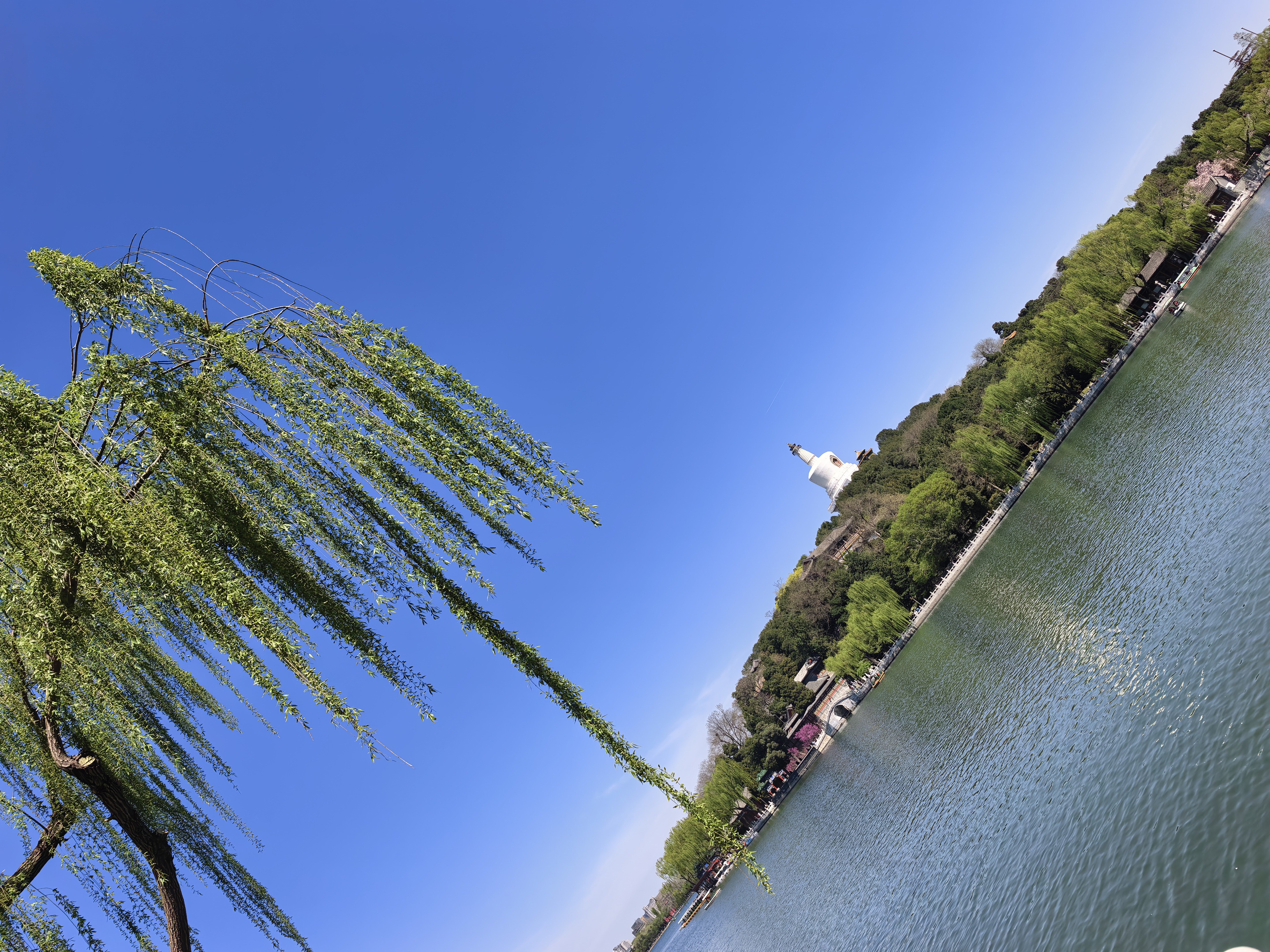 S-今天的热点还是围绕者ai硬件开展，当然很细了，cpo以及铜覆膜。这个细分在2