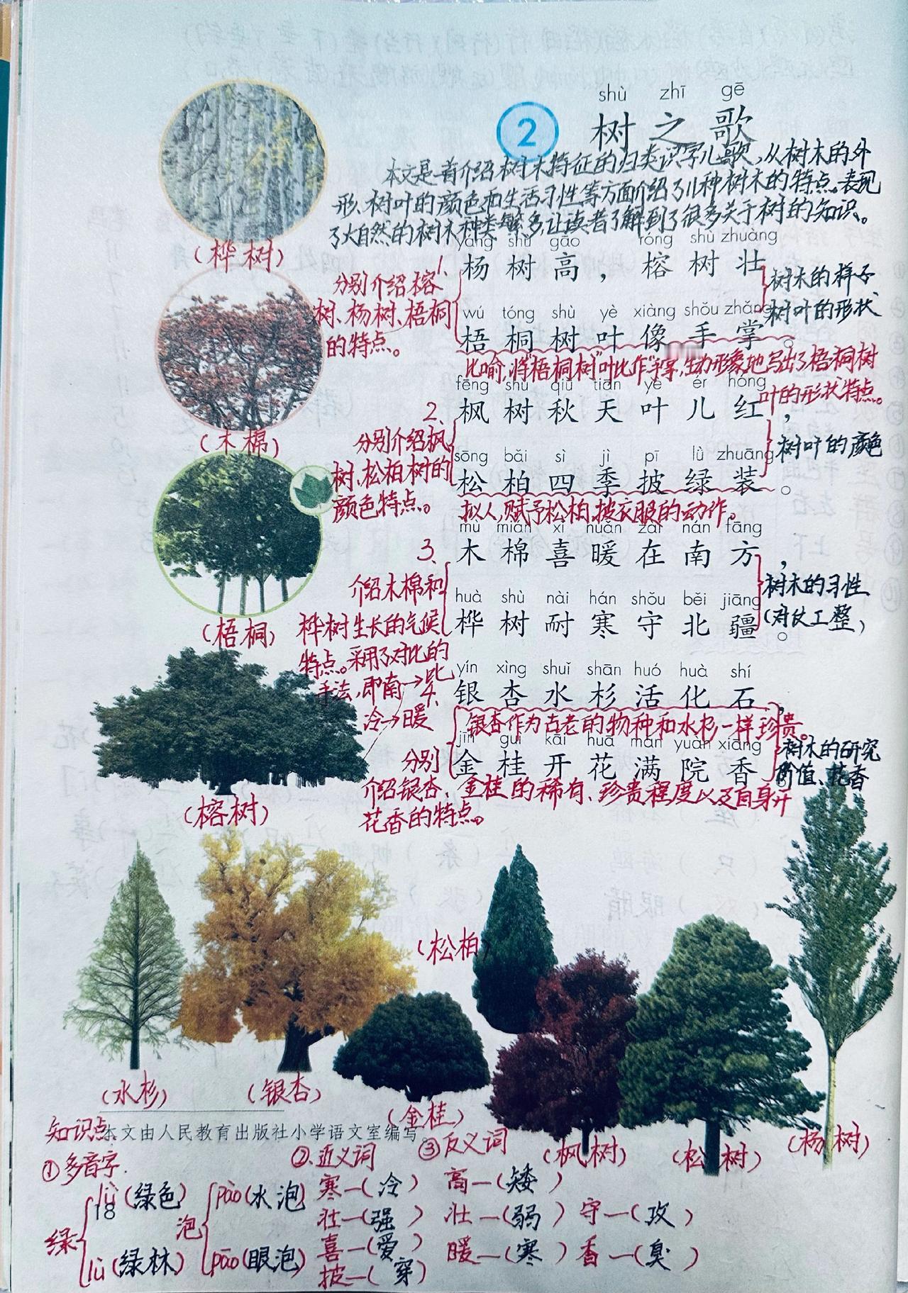 新版二上语文识字第2课《树之歌》预习笔记
