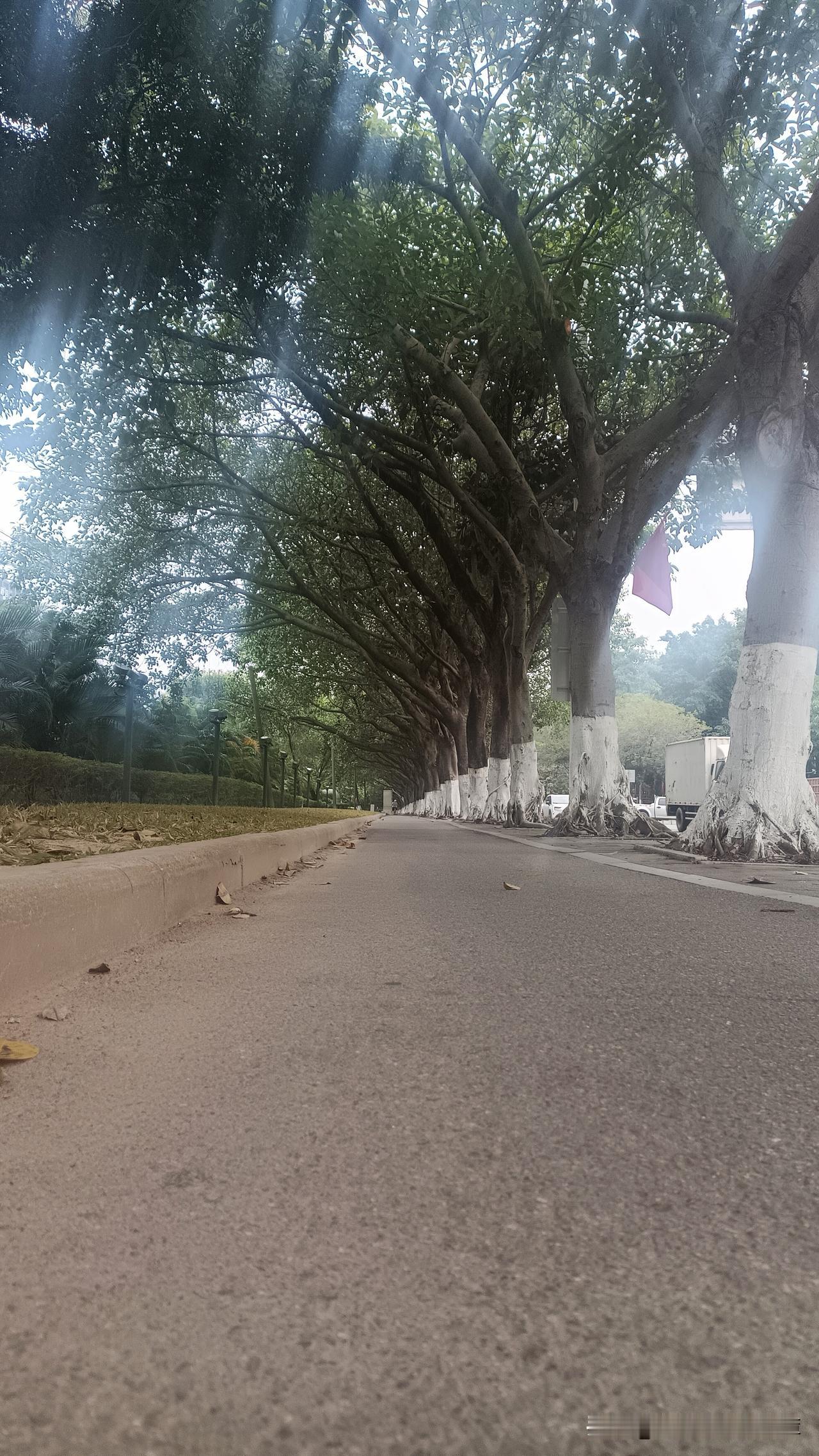 广州凉爽的天气过去了，天气慢慢热起来了，又到了天天出汗的时候了，虽然每天洗澡但身