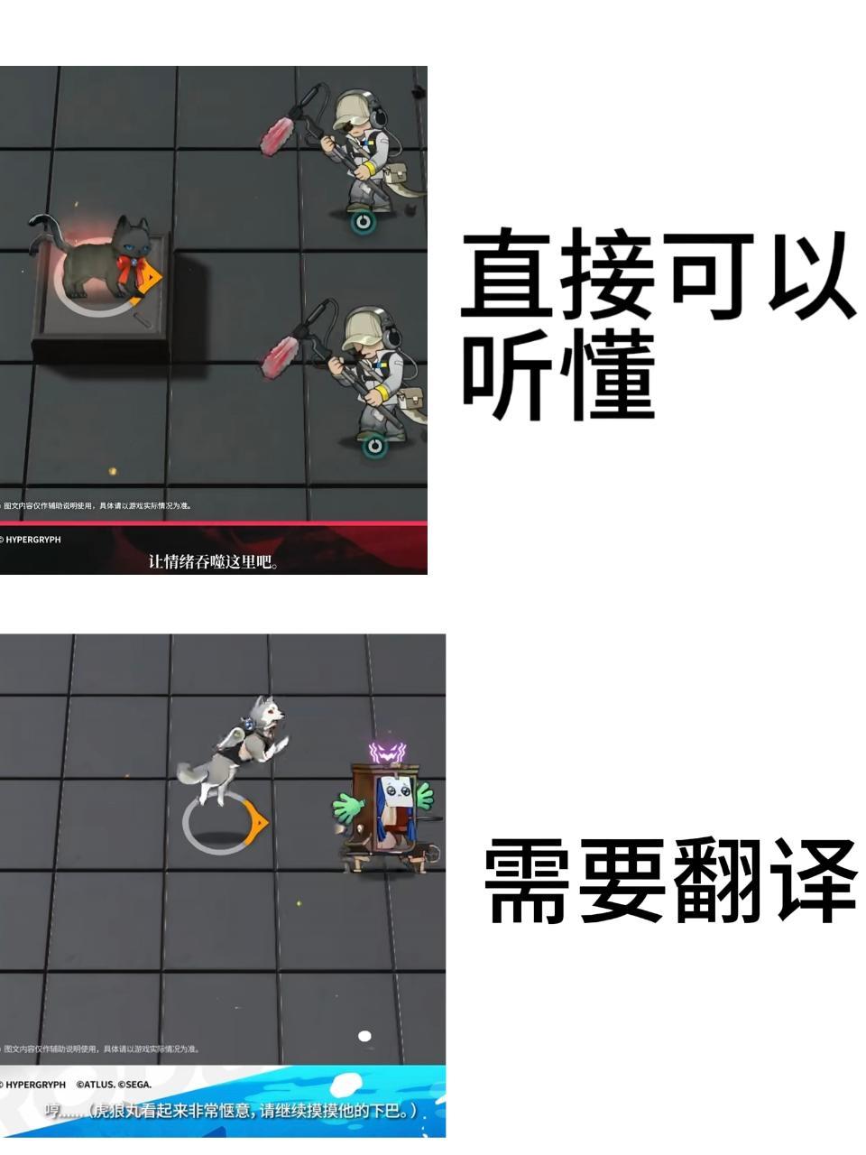 14524喵喵喵汪汪汪 ​​​