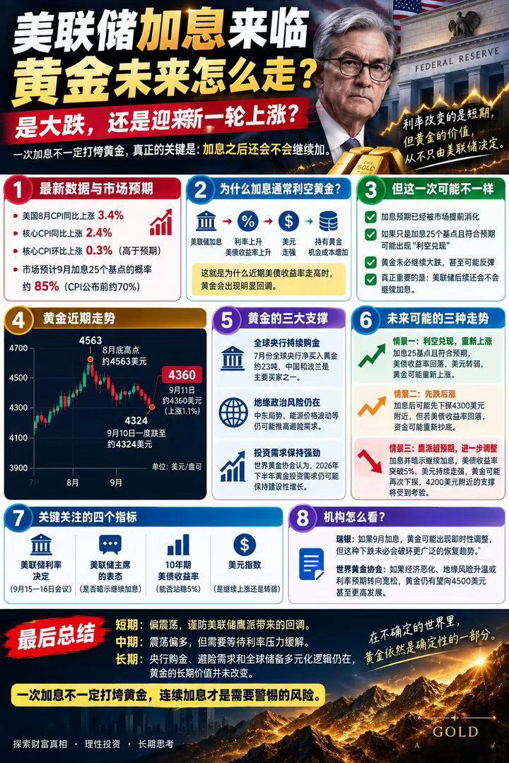 🚨 黄金接下来怎么走？加息预期飙升，金价却不跌反涨，释放了什么信号？黄金最近出