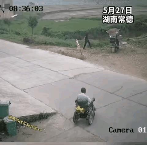 大爷就是这么豪横，这次他又赌赢了。
大爷坐着轮椅电动车过马路，他只看前面不看两边