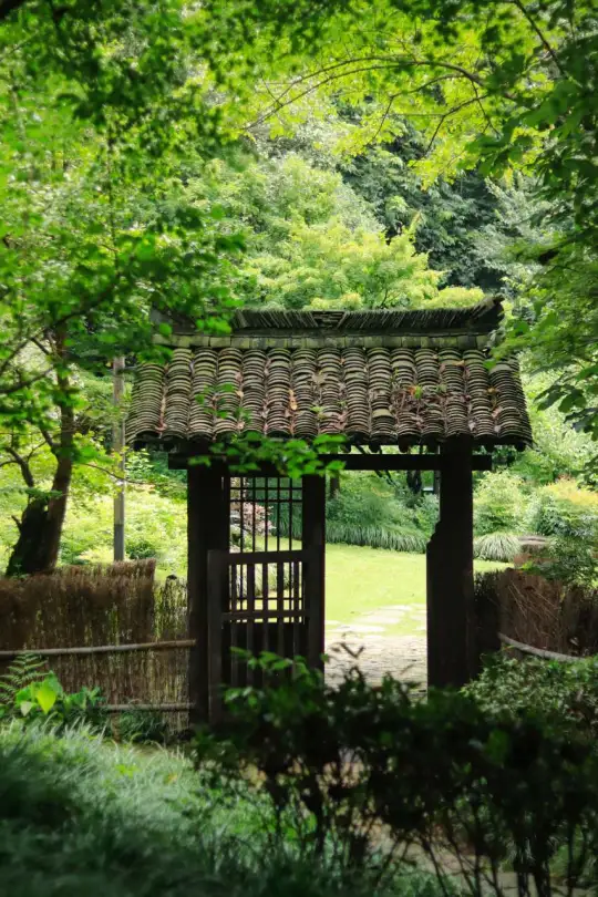 实拍｜私藏的夏日小众秘境，避暑乘凉绝了