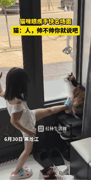 猫子:抓老鼠时，我都可能不瞅一眼。我不反抗，不代表我干不过你。
高手只在时机成熟
